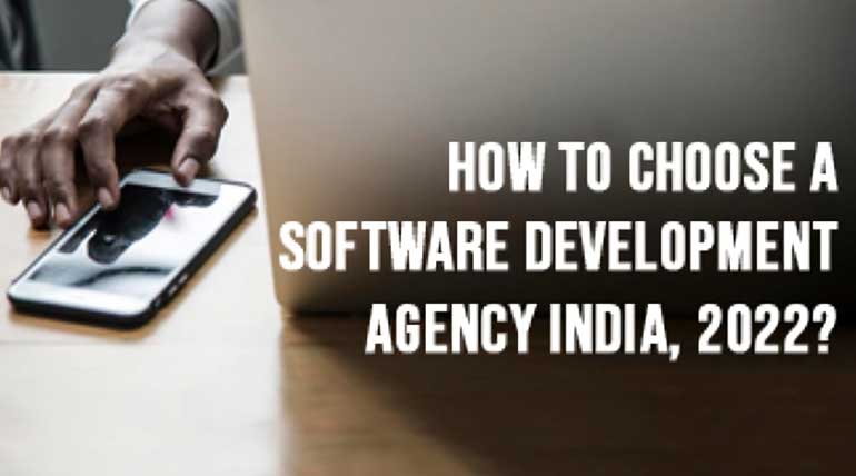 Choose a Software Development Agency in India